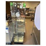 Glass Display Case - Contents Not Incl