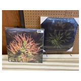 2 - 3D Wall Art 16"x16"