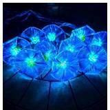 5 Box Outdoor Solar Lights- Morning Glory Flowers