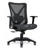 Ergonomic Office Chair, Mesh With Adjustable Lumba