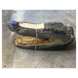 Alligator Head 13'