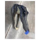 Alligator Head