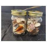 2 jars of shells
