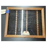 knife display case 13"x16"