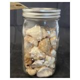jar of shells