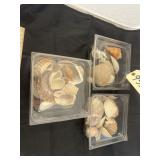 3 containers of shells