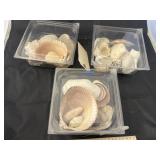 3 containers of shells
