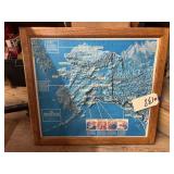 3D Framed Map of Denali National Park 24'x22'