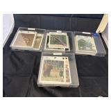 Animal Information Cards