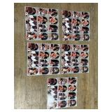 Chicago Bulls Trading Cards