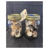 2 jars of shells