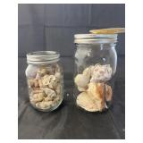 2 jars of shells
