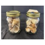 2 jars of shells