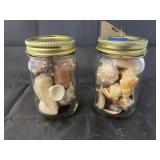 2 jars of shells
