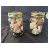 2 jars of shells