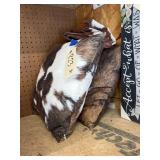 3 Pcs - Throw Pillows & Throw Pillow Cases