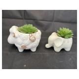 2 Pcs - Succulent Planters