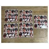 Chicago Bulls Trading Cards