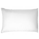 2 Pillows, 2 Cases, Touch of Down Pillow, Queen Se