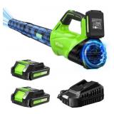 Cordless Leaf Blower, 2 Batteries, 1 Charger, 450
