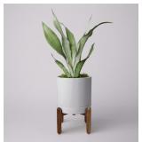 8" Ceramic Planter With Natural Wood Stand With D