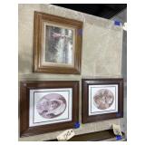 3 Pcs - Framed Prints