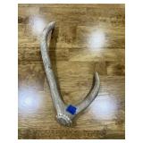 2 Pcs - Deer Antlers