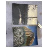 2 Canvas Paintings - 1 by Terry Harris