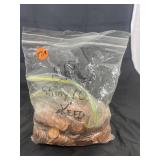 Bag of Shiny Pennies
