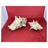 2 - Large Seashells