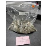 Bag of State Quarters