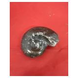 21 Million Year Old Granite Stone