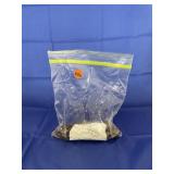 Bag of Copper Pennies