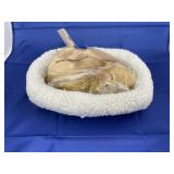 Battery Op Puppy & Bed