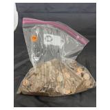 Pennies in Bag