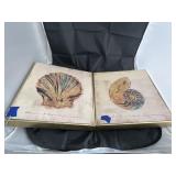 2 Pcs - Shell Wall Art