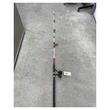 Fishing Rod/Reel
