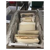 Old Photographs in Plastic Bin