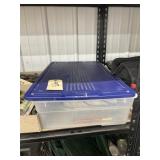 Plastic Bin w/Paint Supplies