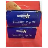 2 Pcs - 9mm Luger Ammo