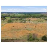 Parcel 2: 17 1/2 Acres  Hwy 52 Morris, OK