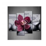 First Wall Art Dark Red Orchid On Cobblestones Wal