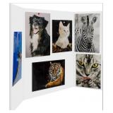 5 Pack Trifold Poster Board Foam Core 24x36"x5mm