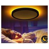 HLITE, 12" Flush Mount LED Ceiling Light With Nig