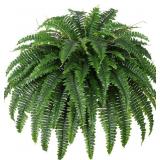 Single Silky Artificial Boston Fern Bush - 43", 6