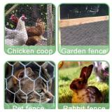 Hexagonal Galvanized Chicken Wire Mesh Fencing - 3