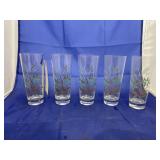 5 Pcs - Glass Tumblers