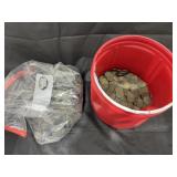 Bag of Assorted Pennies