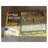 Giant Ant Farm Kit