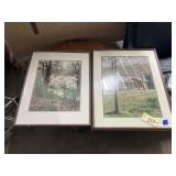 Framed/Matted Nature Photographs